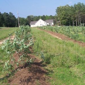 Meet your Posher, Jerry
